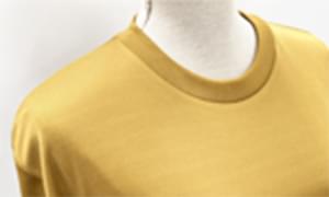 Tシャツカラー：コヨーテの写真を拡大する