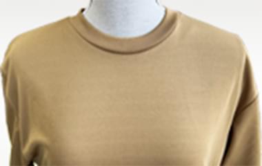 Tシャツカラー：コヨーテを自然光で撮影した商品写真